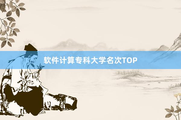 软件计算专科大学名次TOP